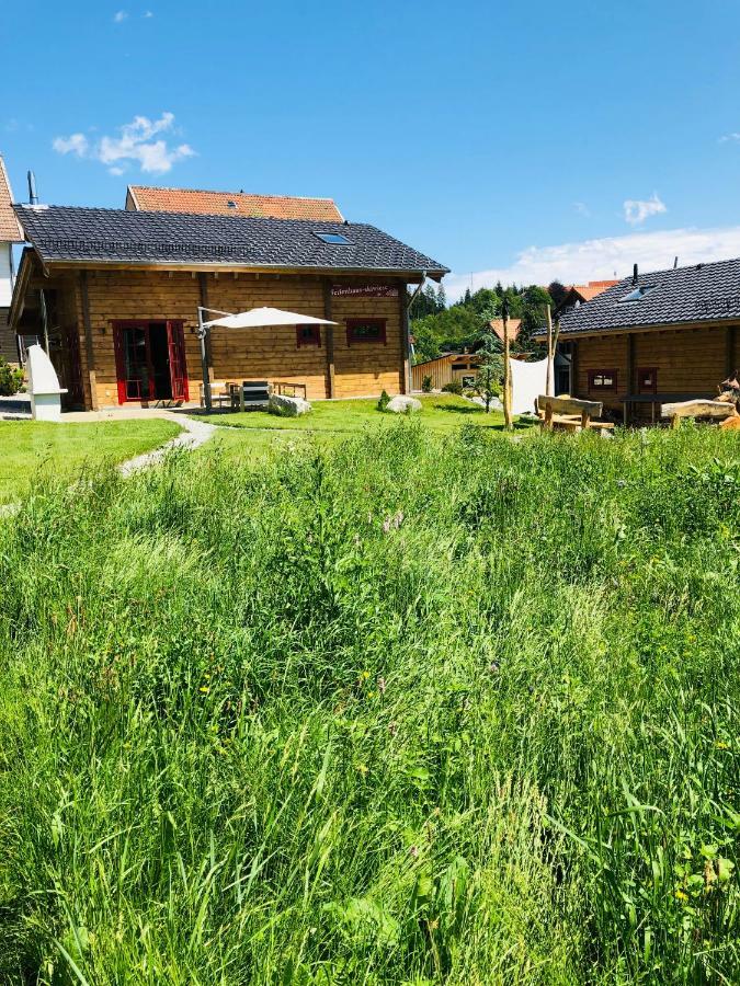 Blockhaus An Der Skiwiese Braunlage Exterior photo